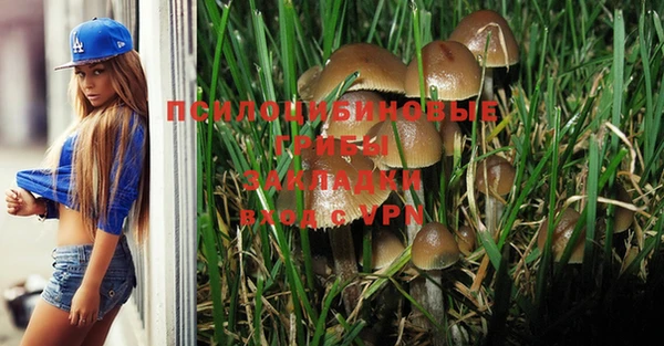 мет Аркадак