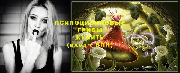 прущая мука Армянск