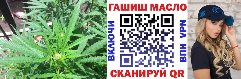 где купить наркоту  Пушкино  ТГК Wax 