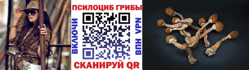 Псилоцибиновые грибы Psilocybe Пушкино
