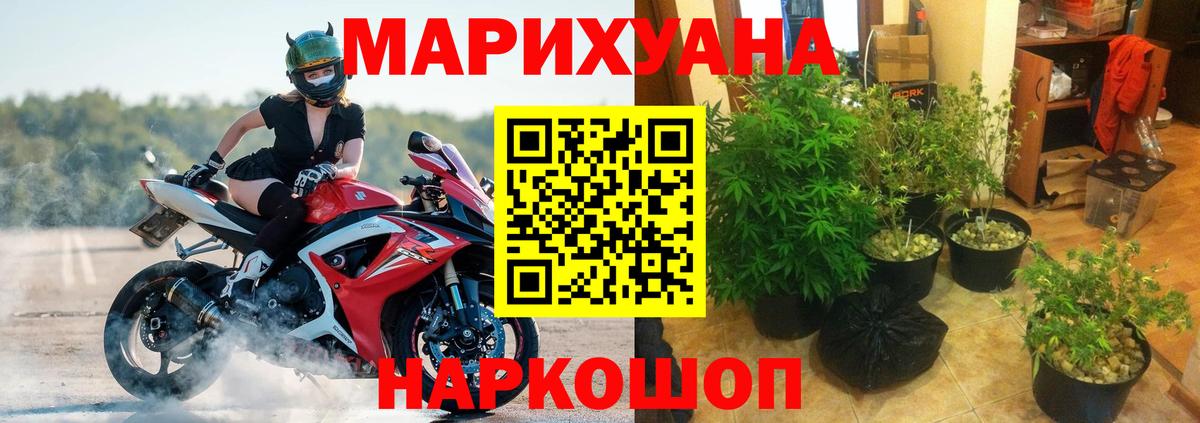 Пушкино  Бошки Шишки Ganja  Вход с VPN  Бошки марихуана план  Марихуана индика 